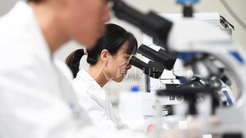创新药CDMO：揭秘其背后的产业生态与未来趋势
