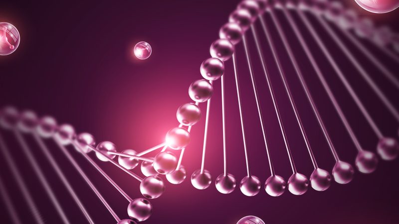 CDMO定制研发：揭秘技术转移流程中的关键步骤