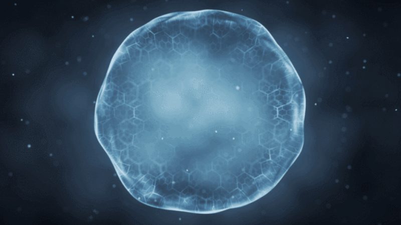 肿瘤基因检测：体检的“加项”，健康管理的“利器