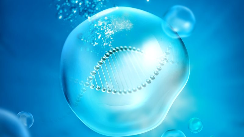 细胞工厂层数与培养面积：揭秘影响生物制药效率的关键因素