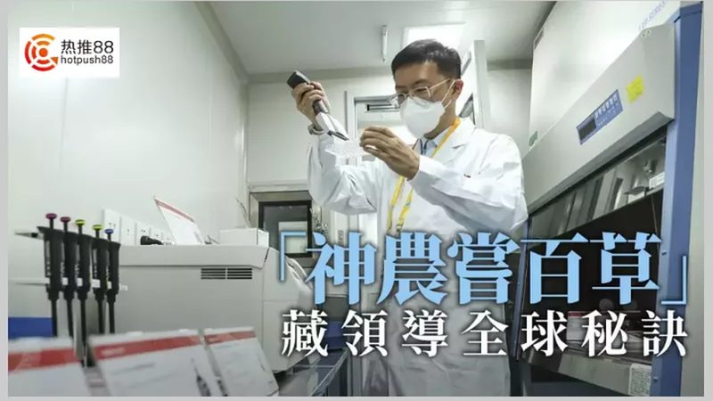 CDMO外包报价：揭秘影响报价的关键因素