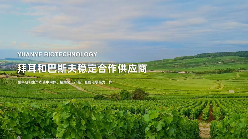 生物制品质量控制：如何精准选择关键参数**