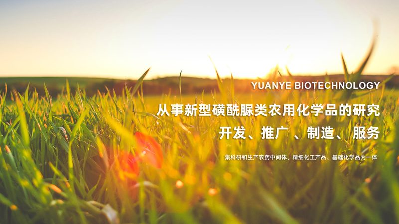 肿瘤基因检测定制化服务的精准之路**