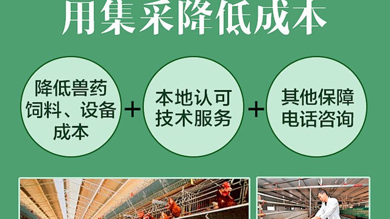 引物合成规格：揭秘PCR实验中的关键要素