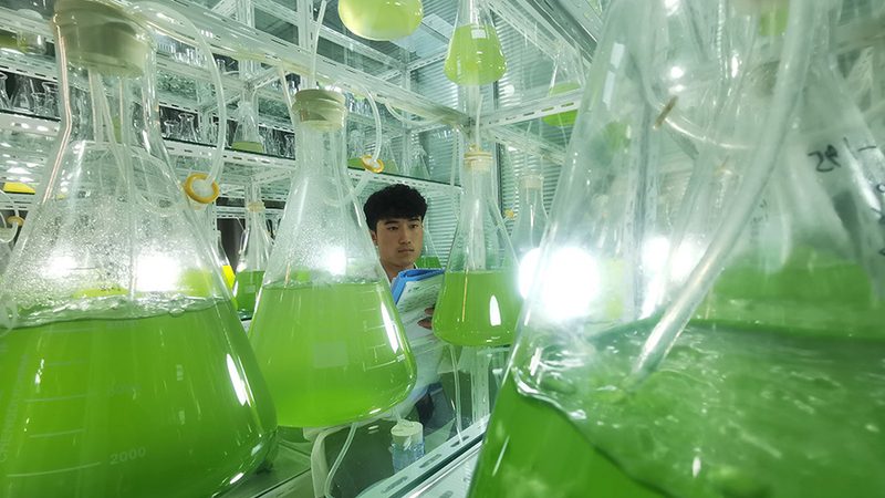直销供应商具有以下优势：
